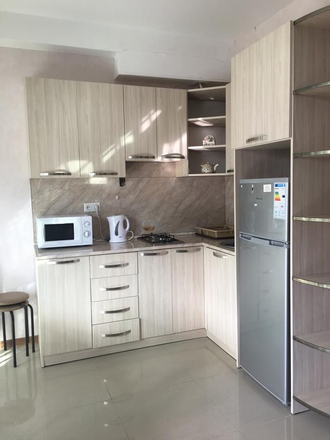 Apart 516 Bobline 巴库里阿尼 外观 照片